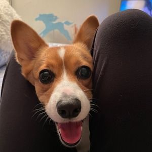 Meet your Posher, Kris